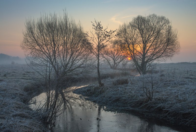 Сонное солнышко...photo preview