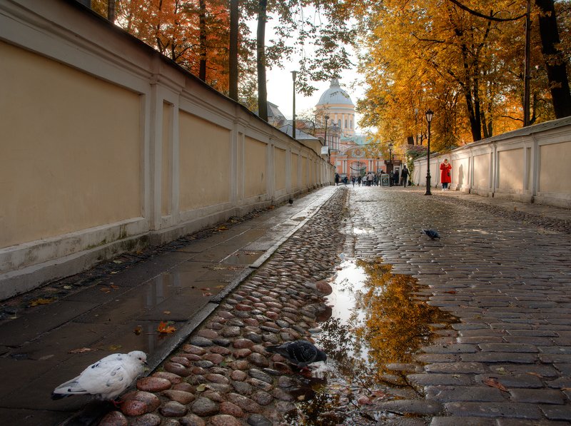 утро в Лавреphoto preview