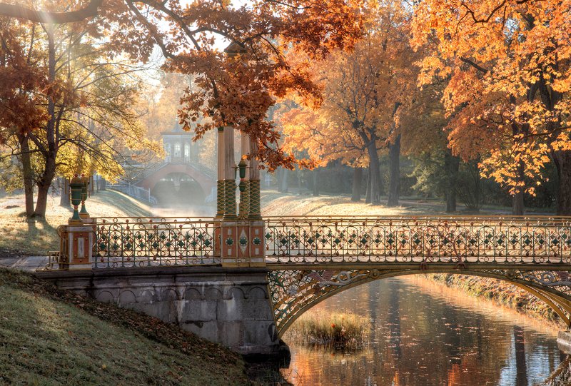 Утро в пушкинском паркеphoto preview