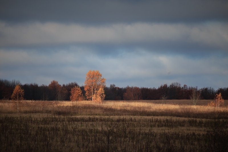 просвет, луч, солнце, осень *** фото превью