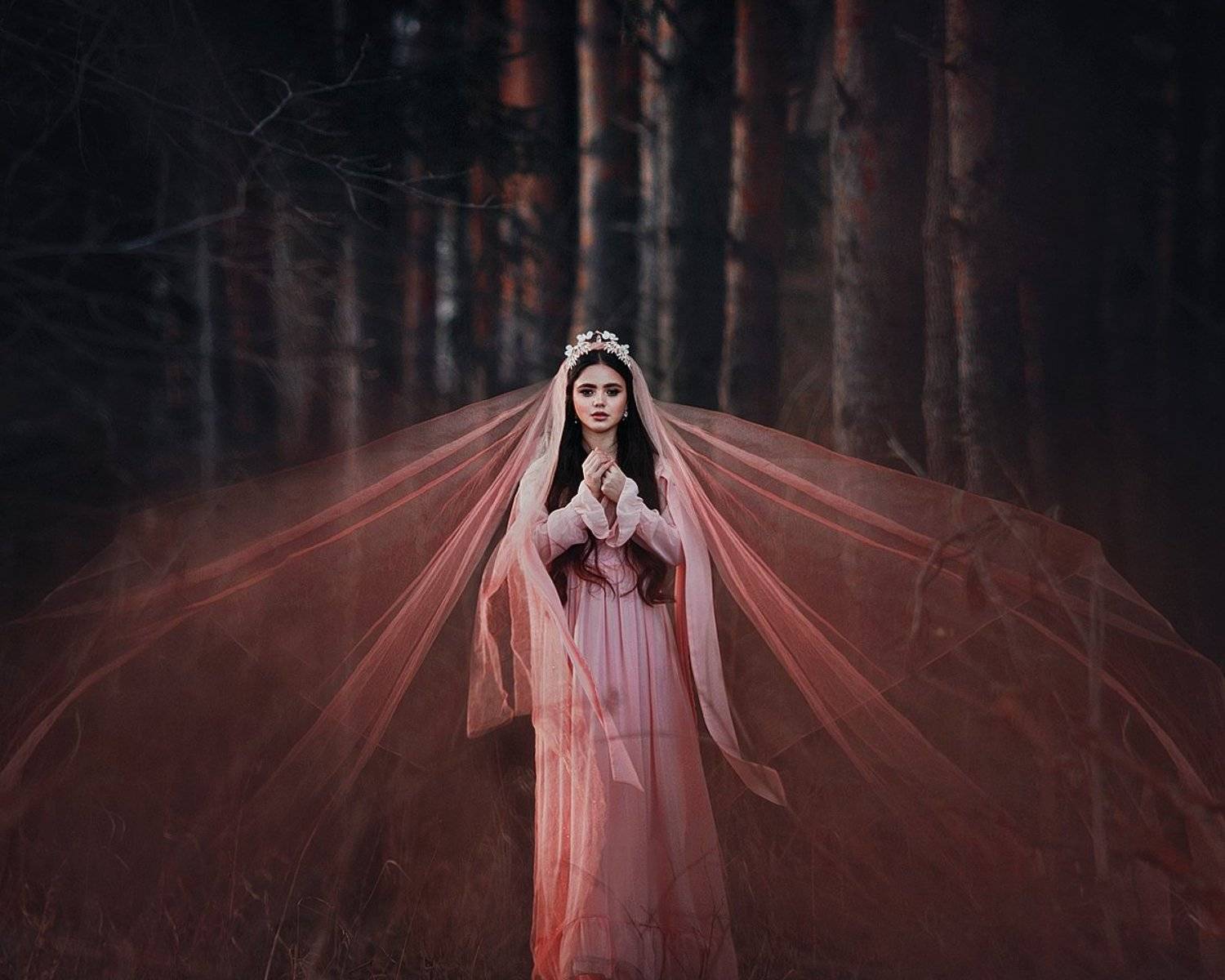 Автор: Александра Шимолина , Александра Шимолина