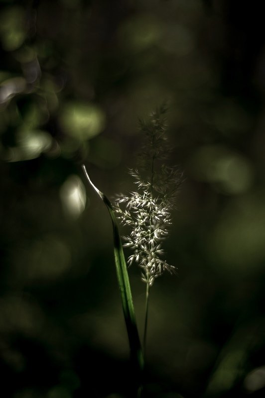 Тот луч...photo preview