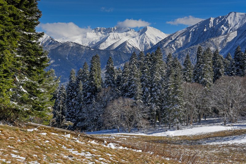 Кавказский заповедникphoto preview