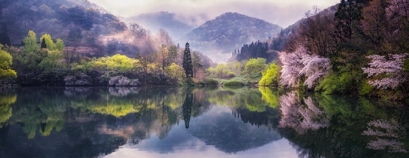 mountain trees flower water lake reflection fog spring sunlight morning Korea spring sunlightphoto preview