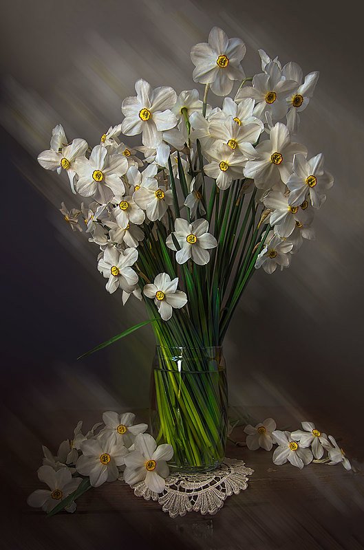 натюрморт с нарциссами,весенние,садовые цветы,художественное фото,искусство. photo preview