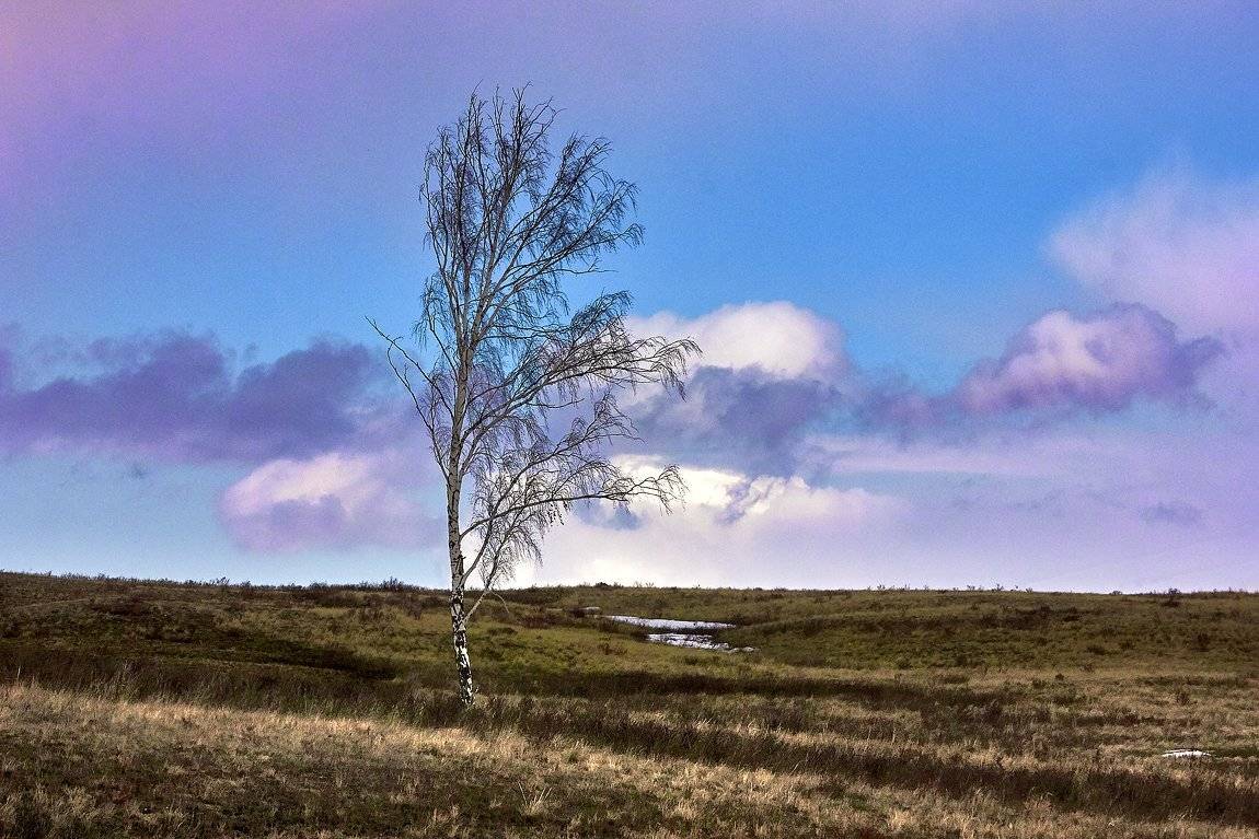 Первые краски, ранней Весны.. Автор: Качурин Алексей южный, урал, губерля орск, новотроицк, Качурин Алексей
