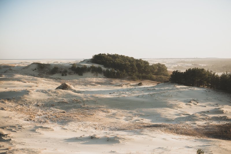 Куршская косаphoto preview