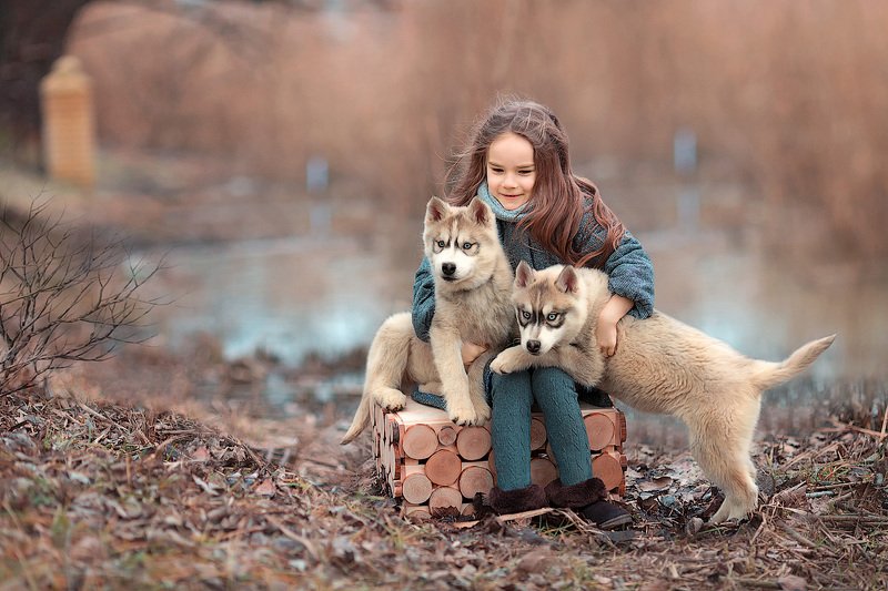 фотограф, фотографирую, фотопрогулка, девочка, малышка, весна, собаки, хаски, ребенок, семейная фотосессия, детский фотограф, счастье, радость, дети на фото, семейная фотография, девочка и собака, любовь, восторг Друзьяphoto preview