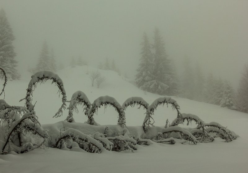 landscape winter mountains snow fog photography photo canvas wallpaper nature trees frame view  Winter in the Vladeasa Mountains.photo preview
