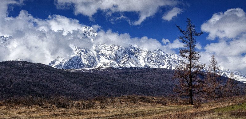 алтай, ледник актру, актру, алтайский край, долина, весна,осень, лиственницы, ледник,ледники Актру.photo preview