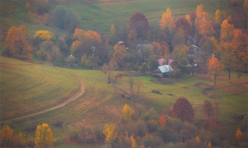 Карпатская осень photo preview