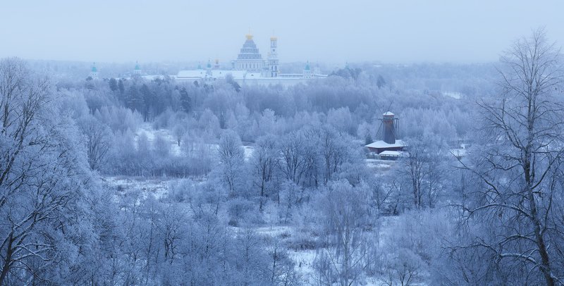 И деревья замерли в ожидании весны.photo preview