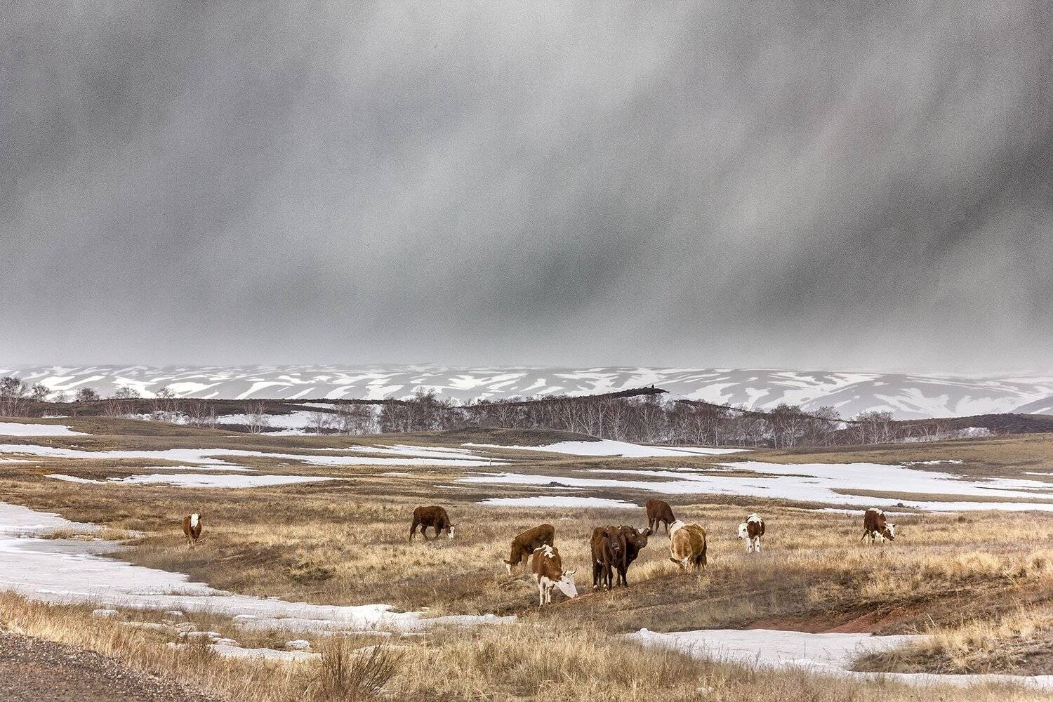 В весеннем пространстве.... Автор: Качурин Алексей южный, урал, долгие горы, орск, новотроицк, Качурин Алексей