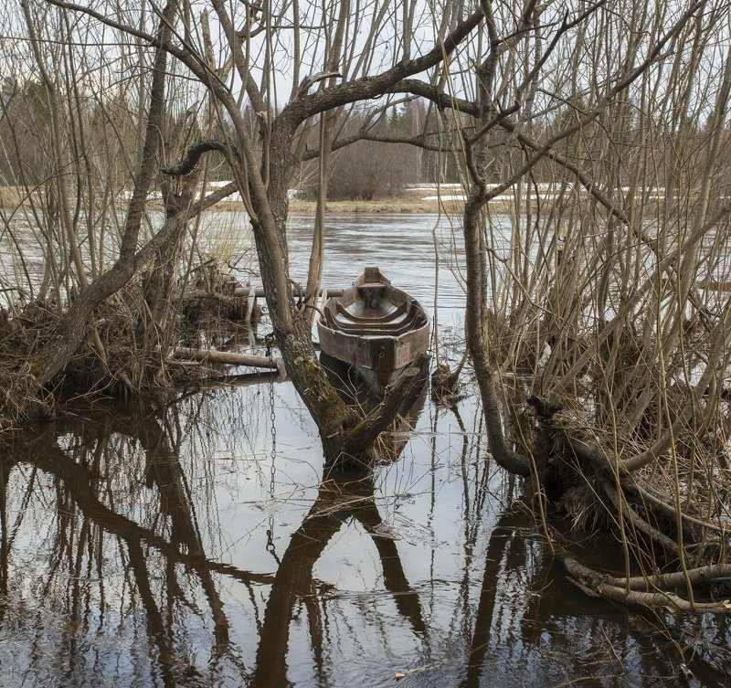 Весенний разлив.photo preview