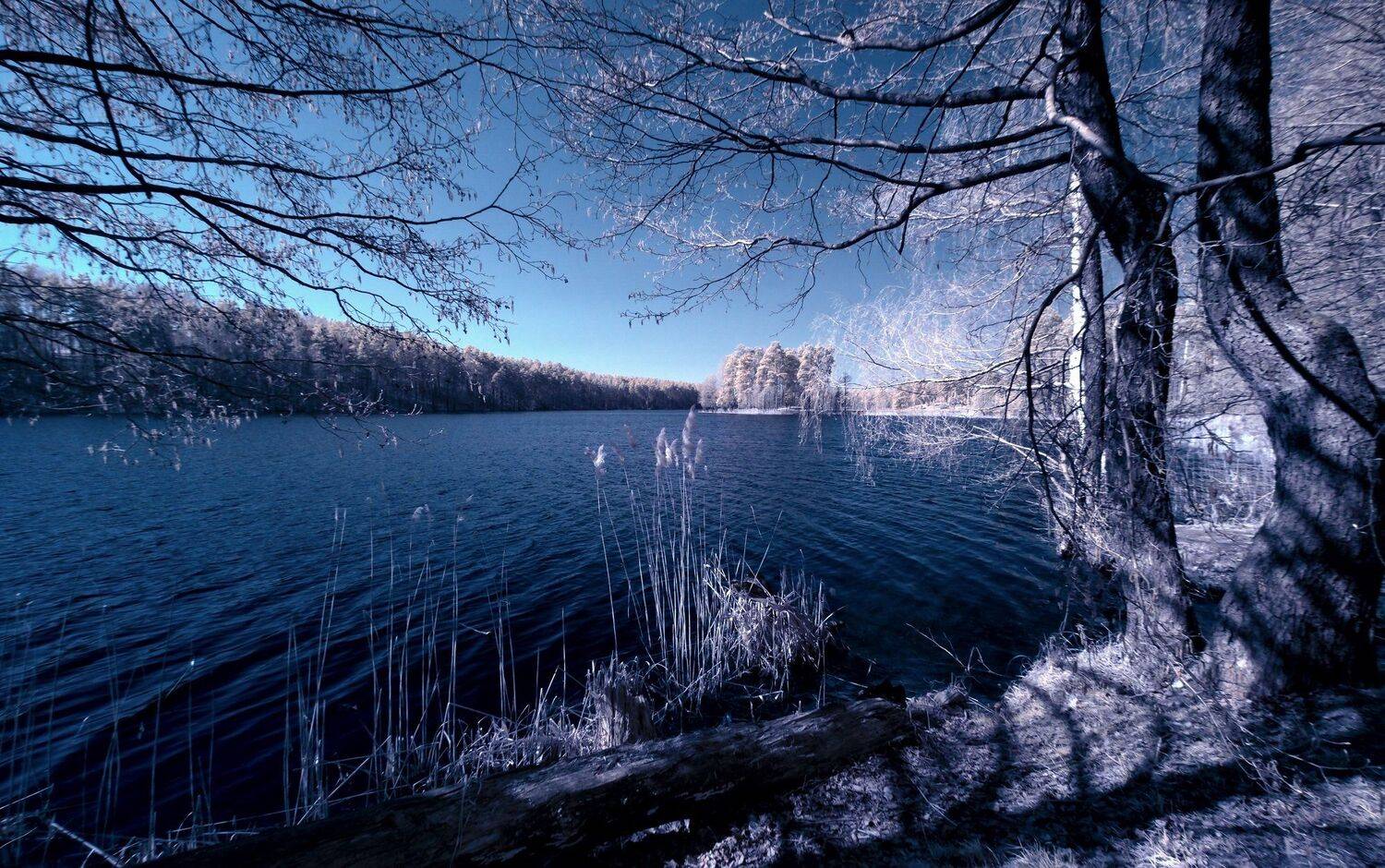 , Sixten ( Сергей )