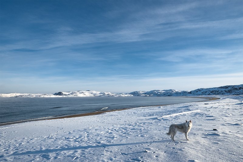 Териберка Берег Арктикиphoto preview