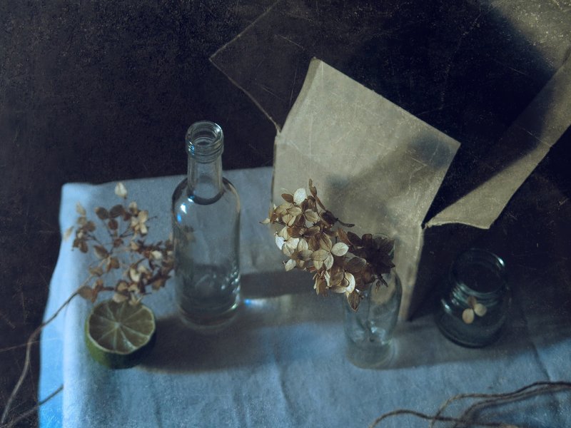 гортензия Гортензияphoto preview