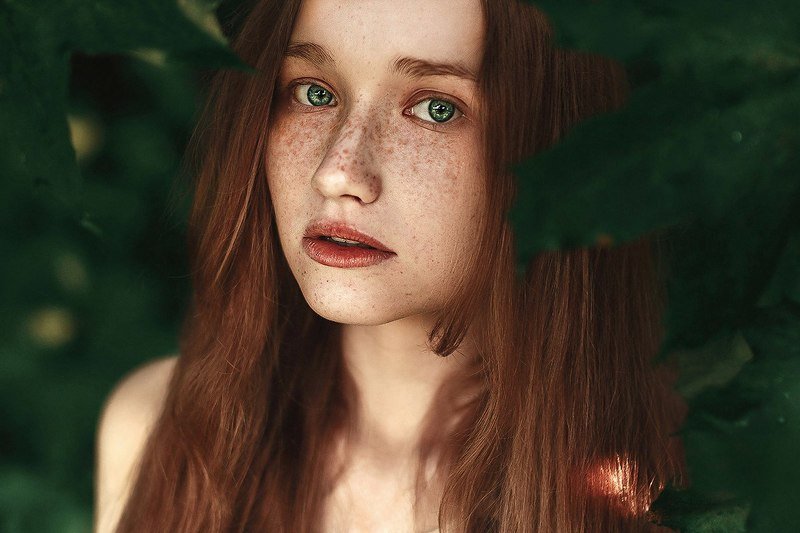 Портфолиоphoto preview