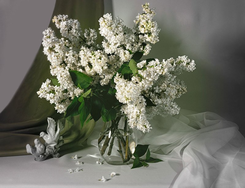 натюрморт, белая сирень, букет, голубки, статуэтка, кувшин, цветы Белая сиреньphoto preview