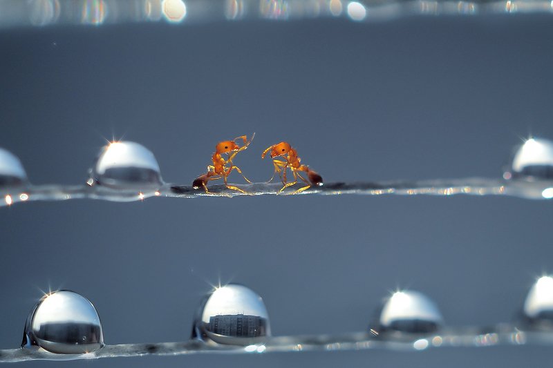 Серьезный разговорphoto preview