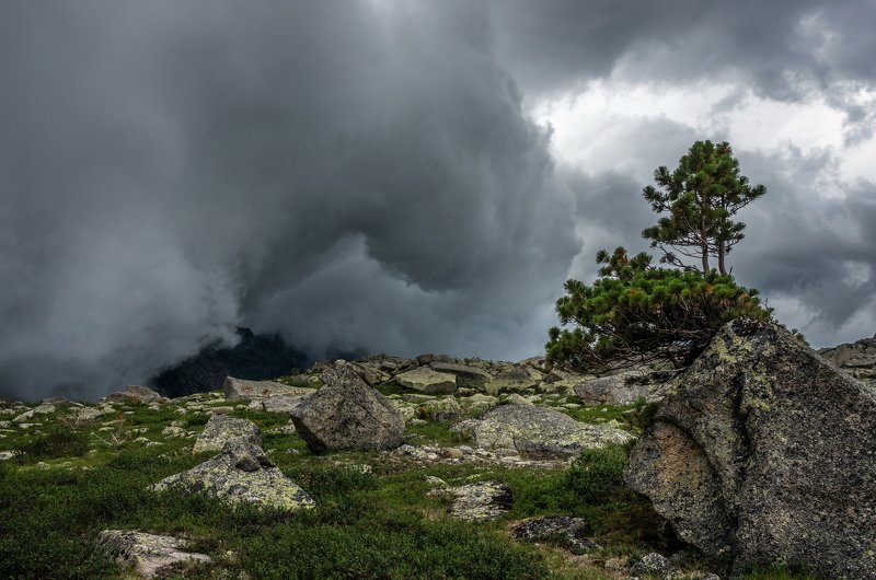 горы, сибирь, саяны, западный саян, стихия, грозовой фронт, кедр Прорыв из котлаphoto preview