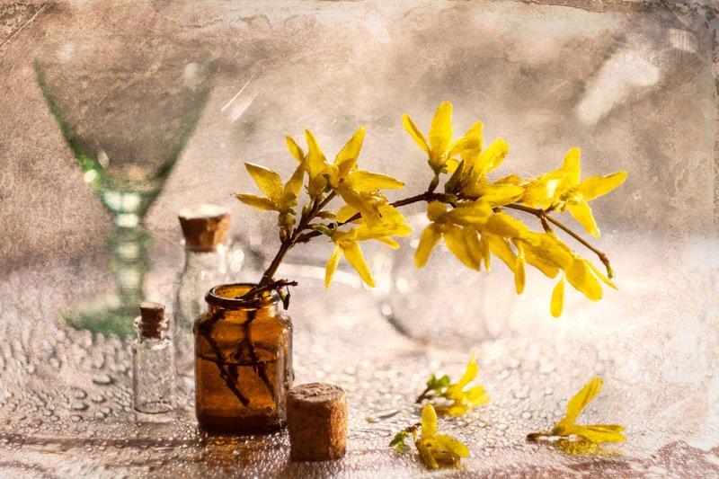весна, форзиция, цветы, боке, капли, нежность, жёлтый Весенний мотивphoto preview