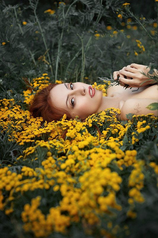 Пижмаphoto preview