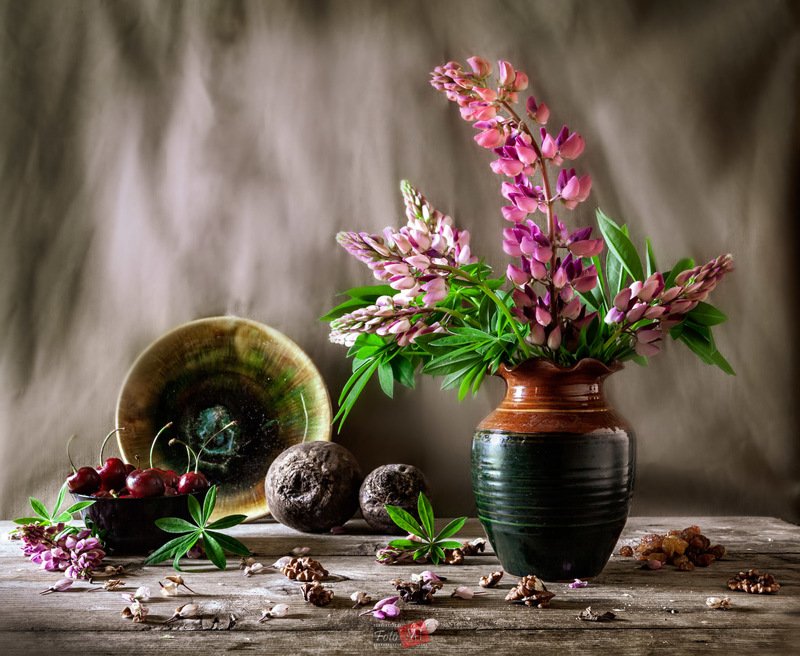 люпин, вишня, свекла, орех, листья photo preview