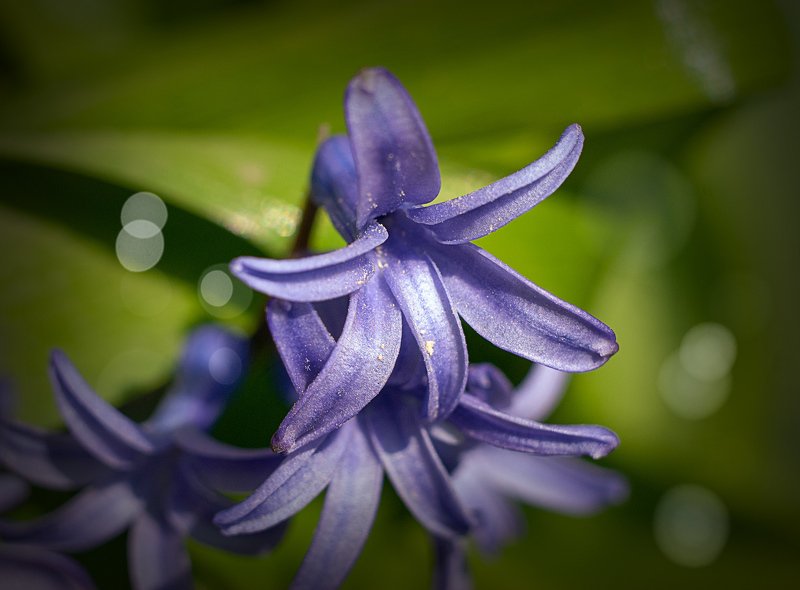 Геоцинтphoto preview