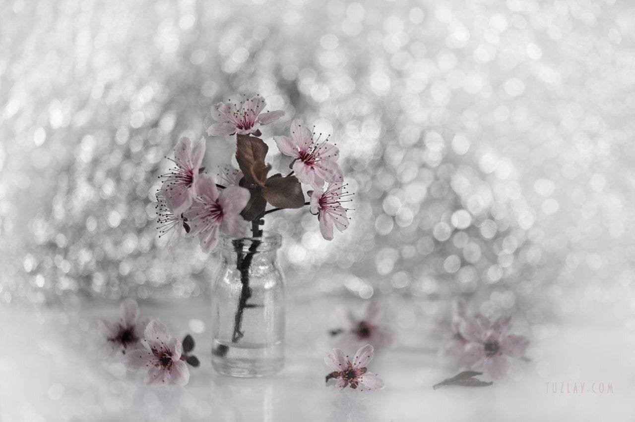весна во флаконе, пузырек, розовые цветки, боке, bokeh, Владимир Тузлай