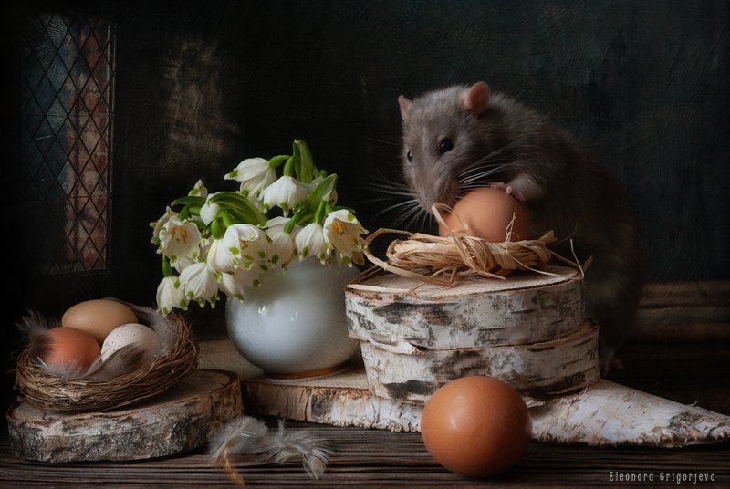 Как будто веснаphoto preview