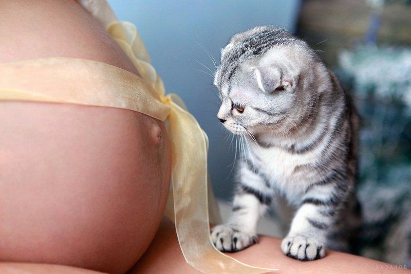 про малышейphoto preview