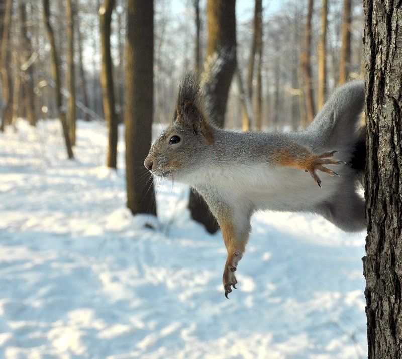 точка отрываphoto preview