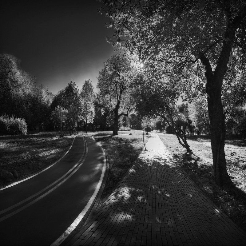 велодорожка, парк, победы, пешеходная, свет, тень | Double Ways |photo preview