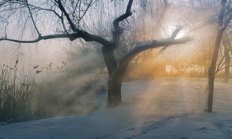 город, парк, зима, река, кубань МОРОЗ И СОЛНЦЕ - БУДЕТ ДЕНЬ ХОРОШИЙphoto preview