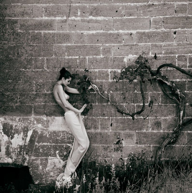 mecuro b cotto, mecurobcotto.com *photo preview