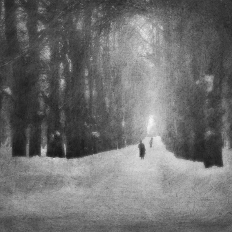 В аллеях Павловскаphoto preview