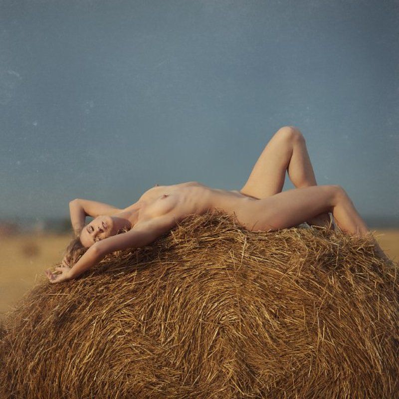 ню, сено *photo preview