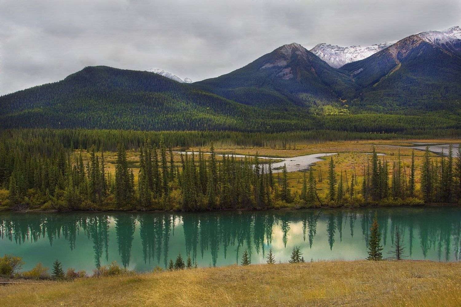 канада, скалистые горы, река, елки, ели, банф, Екатерина Богданова