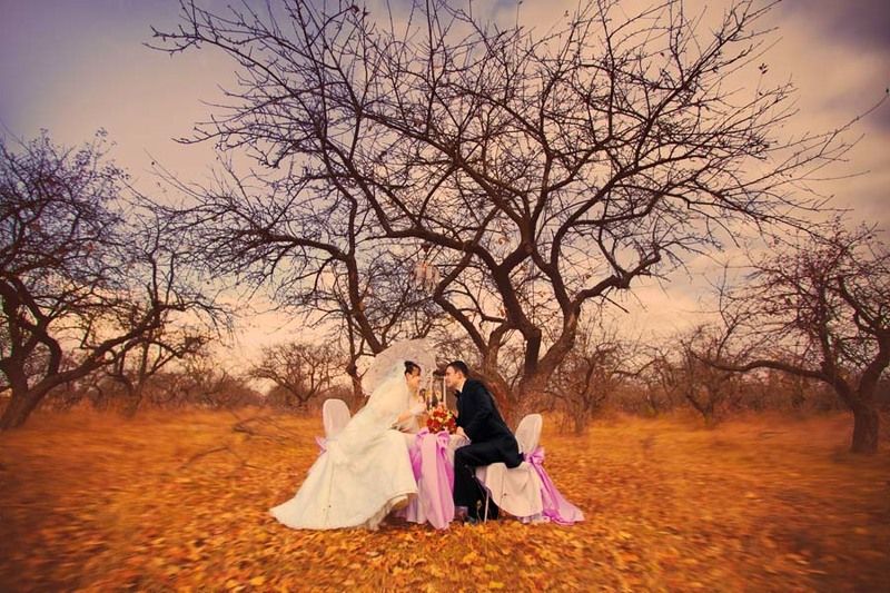 wed wedphoto preview