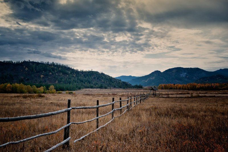 6841318photo preview