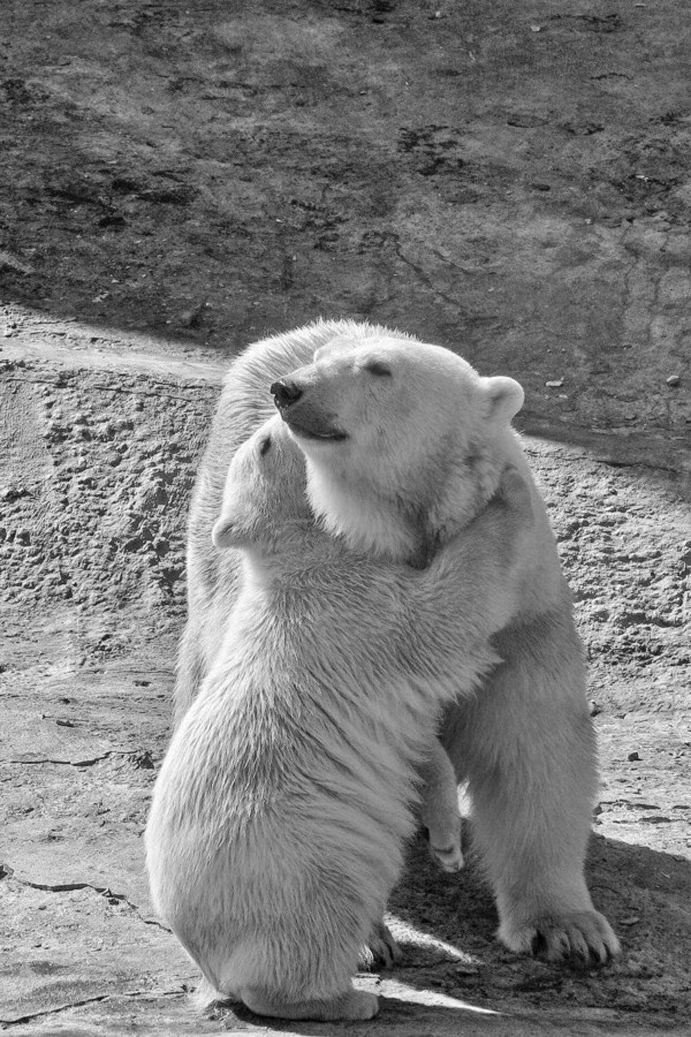 Мамочка. Автор: Uncle_Vova (Владимир Веснин) , Uncle_Vova (Владимир Веснин)