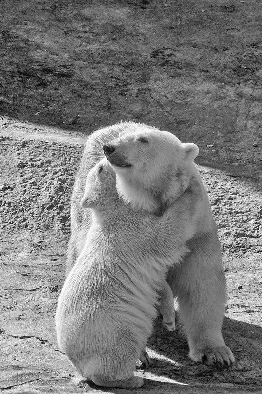 Мамочкаphoto preview