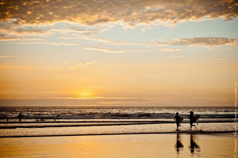 коста рика, путешествие, океан, закат, животные, travel, ocean, nature, animals Costa Rica. Действительно богатый берег.photo preview