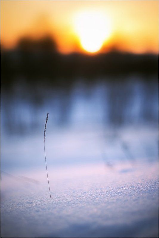 Про одиночествоphoto preview