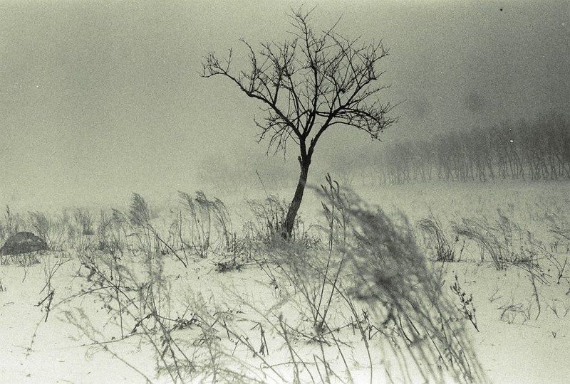 Одиночество.photo preview