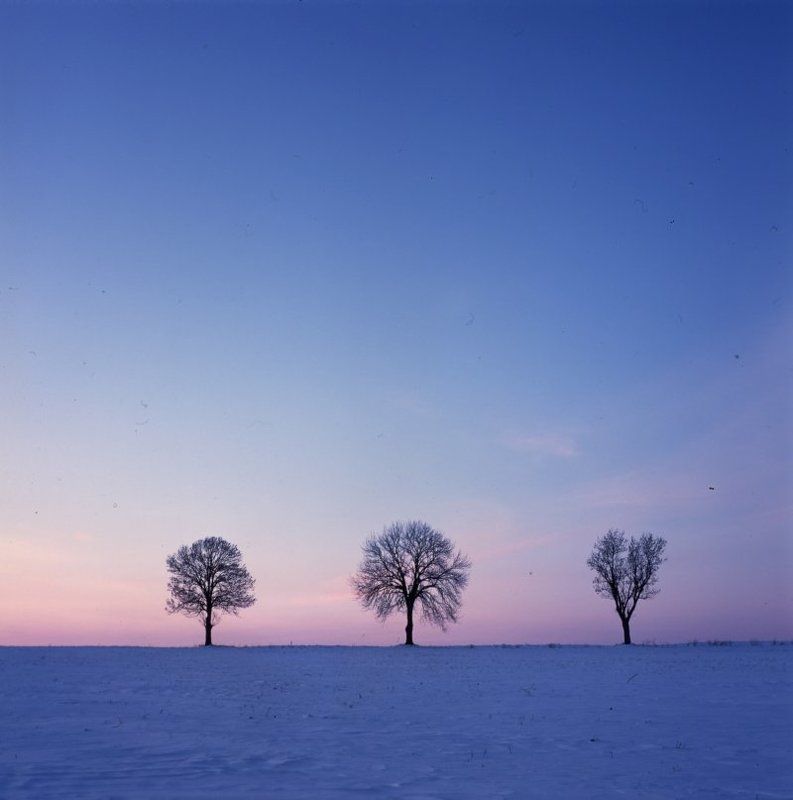 Fly me to the moonphoto preview