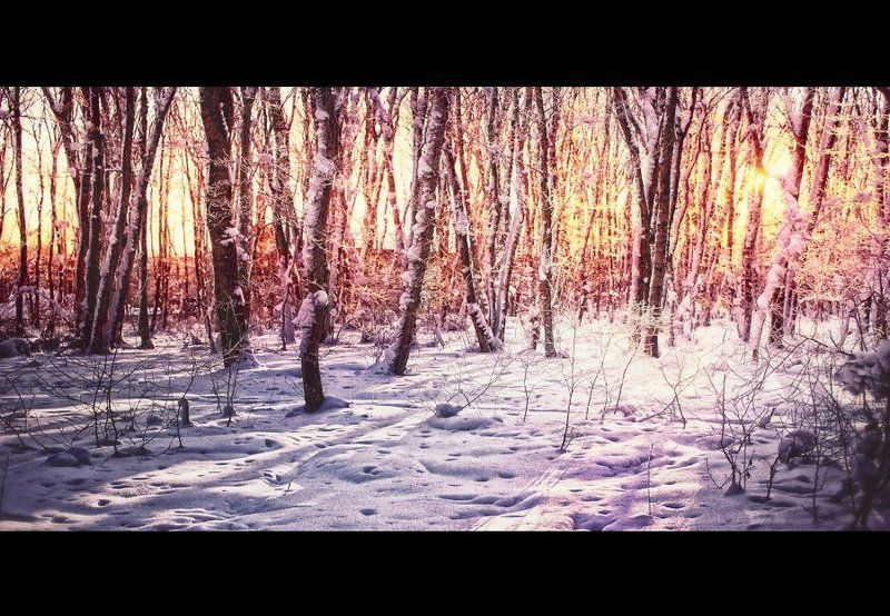 Закатphoto preview