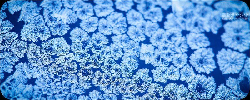 узоры, мороз, окно Узорыphoto preview