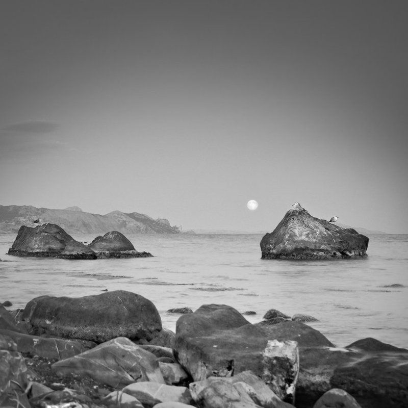 в ожидании Большой Луны ...photo preview